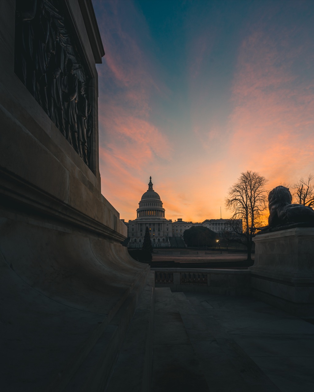 The US Capitol before sunrise on a December morning, bare trees and a lit Christmas tree silhouetted against an orange band on the horizon under a still-dark blue sky
